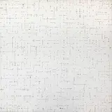 Dadamaino, L'inconscio razionale, 1976, Mixed media on canvas