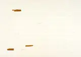 Carlo Alfano, Frammenti di un autoritratto anonimo /102