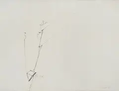 Tebe by Vettor Pisani, 1989, Pencil on paper, offered May 2025