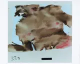 Cecily Brown, Big Film Still