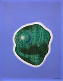 Luciano Ventrone, Untitled, 1965, Oil on masonite
