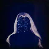 Anneè Olofsson, Hide and seek, 2009, c-print on lastra metallica