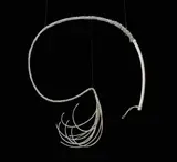 Rosy Rox, Whip me purly, 2007, Crystal