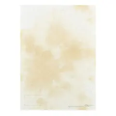 Hermann Nitsch, 'Senza titolo, Aktionsrelikt', blood on canvas