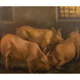 Alberto Ziveri, "Maiali"
