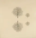 Andrea Santarlasci, Senza titolo, inchiostro tipografico on paper applicata on MDF