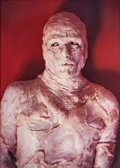 Robert Gligorov, Pelle di pollo, 1997, cibachrome on alluminio
