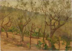 Armando Spadini, Uliveto nella collina pistoiese, 1905, oil on panel