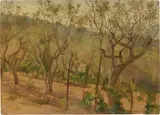 Armando Spadini, Uliveto nella collina pistoiese, 1905, oil on panel