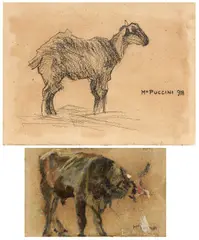 Mario Puccini, Due disegni, A) Pecora