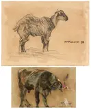Mario Puccini, Due disegni, A) Pecora