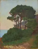 Raffaello Gambogi, Pini sul mare, oil on cardboard