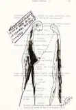 Bigas Luna, Senza titolo, 1995, ink on paper