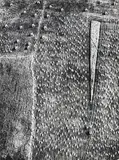 Mario Giacomelli, Presa di coscienza sulla natura