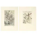 Roberto Sebastian Matta, Due grafiche «Droites libérées», 1971, etching and acquatinta a colori
