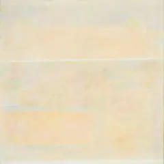 Riccardo Guarneri, Manoscritti su due parti, 1982, mixed media on canvas