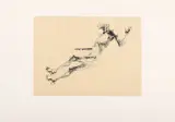 Leonardo Cremonini, Corpo nell'acqua