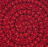 Taytu Betul by Damien Hirst, 2022, stampa Giclée laminata on pannello in alluminio stampato con glitter, offered May 2025