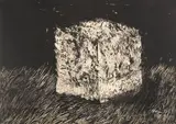 Mattia Moreni, Il fantasma dell'anguria allunata
