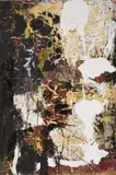 Rosario Arizza, Senza titolo, 2011, oil
