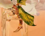 Fabio Aguzzi, Magnolia nel vetro, 2005, oil on canvas