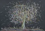 Bruno Locci, Albero, pastelli on card