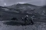 Yordan Yordanov, Aratura, Kodel, Albania, 1994, Stampa ai sali d'argento