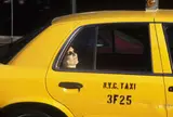 Stefano Buonamici, Taxi, 2000, stampa digitale da diapositiva on paper Hanemüle fine art Baryta