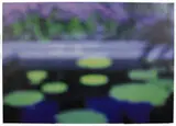Flavio Favelli, Orto botanico, 2000, stampa fotografica a colori montata on pannello