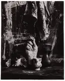 Paolo Monti, Natura morta, 1949, Stampa ai sali d'argento