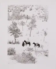 Fulvio Roiter, Umbria, 1954, stampa ai sali d'argento on paper Ilford Warmtone
