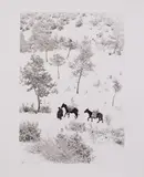 Fulvio Roiter, Umbria, 1954, stampa ai sali d'argento on paper Ilford Warmtone