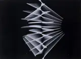 Gianfranco Chiavacci, Rfv005, 1972, Stampa ai sali d'argento