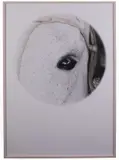 Mario Cresci, A tutto tondo #06, 2007, stampa Fine Art ai pigmenti on paper cotone Hahnemulhe
