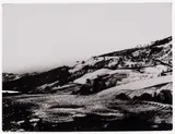 Mario Giacomelli, Senza titolo - Dalla serie «Presa di coscienza sulla natura»