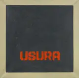 Roberto Barni, Usura