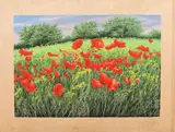 Franco Azzinari, Campo di papaveri