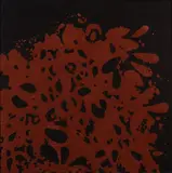 Luigi Mainolfi, Geografia