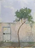 Baccio Maria Bacci, Muro e albero, oil on panel