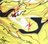 Gerardo Paoletti, Magnifiche bugie, 2003, pittura spray on canvas