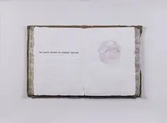 Emilio Isgrò, Macchia, 1991, mixed media on libro in teca di legno and plexiglass