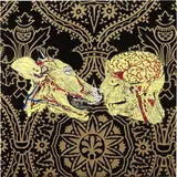 Maurizio Cannavacciuolo, Amore contronatura