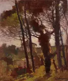 Ludovico Tommasi, Bosco