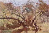 Ludovico Tommasi, Albero