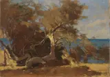 Ludovico Tommasi, Tamerice adagiata