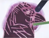 La sentinella by Concetto Pozzati, 1999, acrylic on paper, offered May 2020