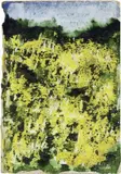 Carlo Mattioli, Le ginestre, mixed media on paper