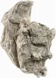Lorenzo Viani, Testa di fauno