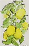 Renato Guttuso, I limoni