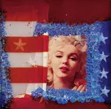 Omar Ronda, Marilyn Frozen, 2006, Inclusione in resina
